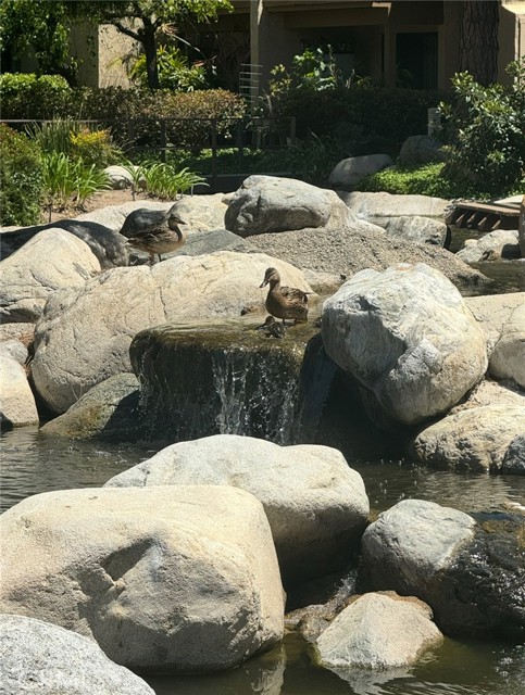 MLS #OC25151224 image #2