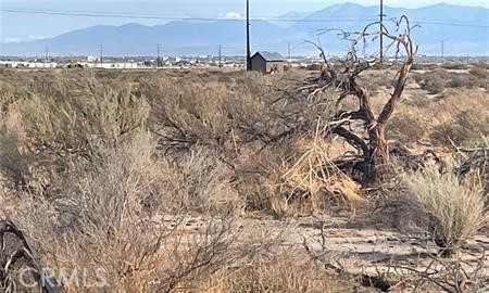 MLS #OC25151889 image #1