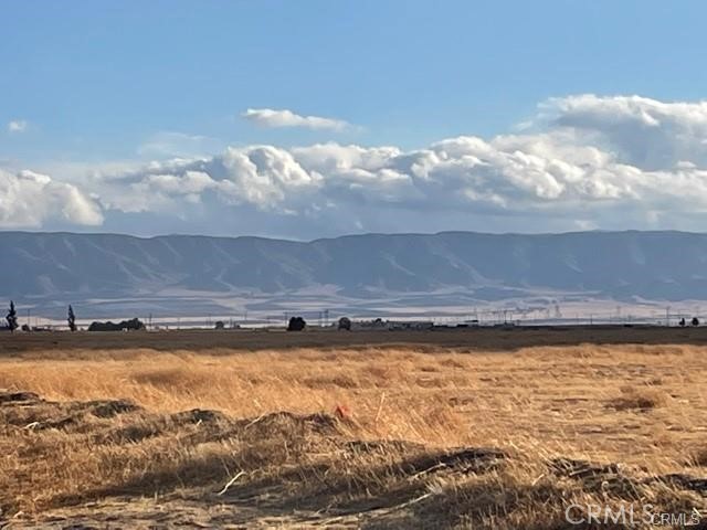 MLS #OC25151925 image #4