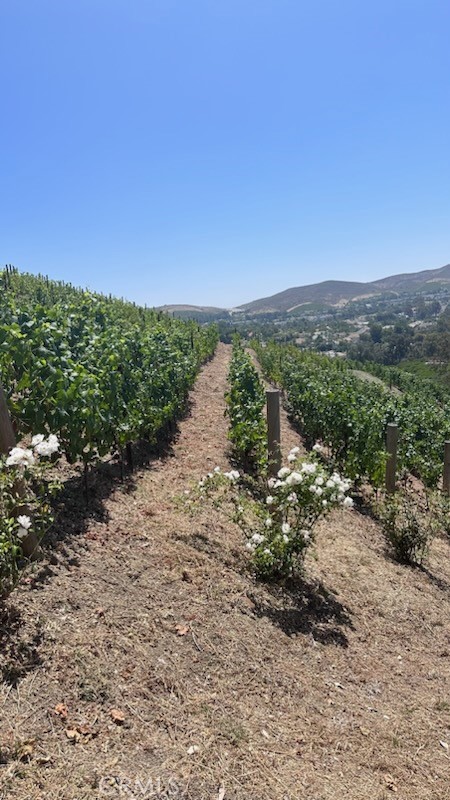 MLS #OC25153093 image #60