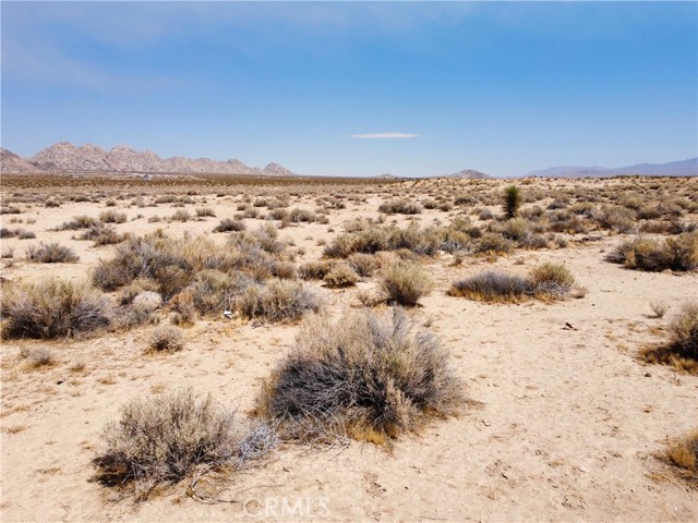 MLS #OC25155910 image #8