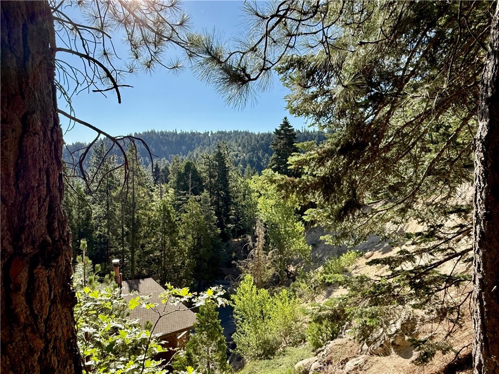 MLS #OC25159199 image #25