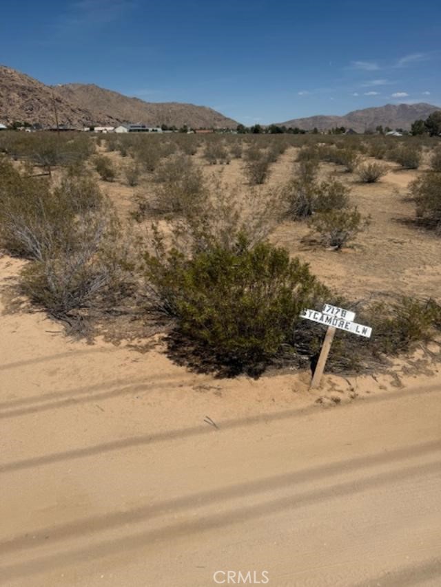 MLS #OC25162948 image #1