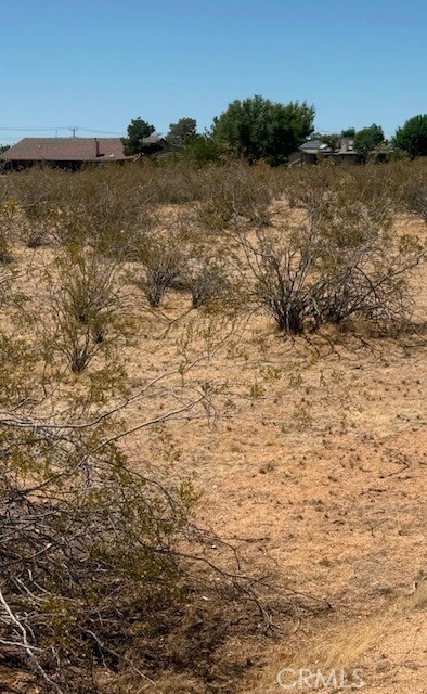 MLS #OC25162948 image #5