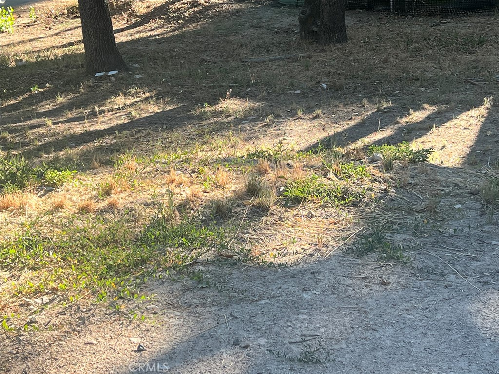 MLS #OC25165557 image #0