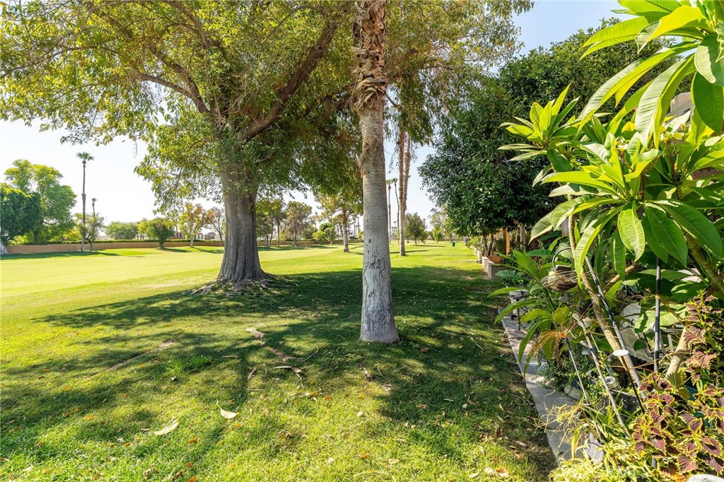 MLS #OC25165850 image #31