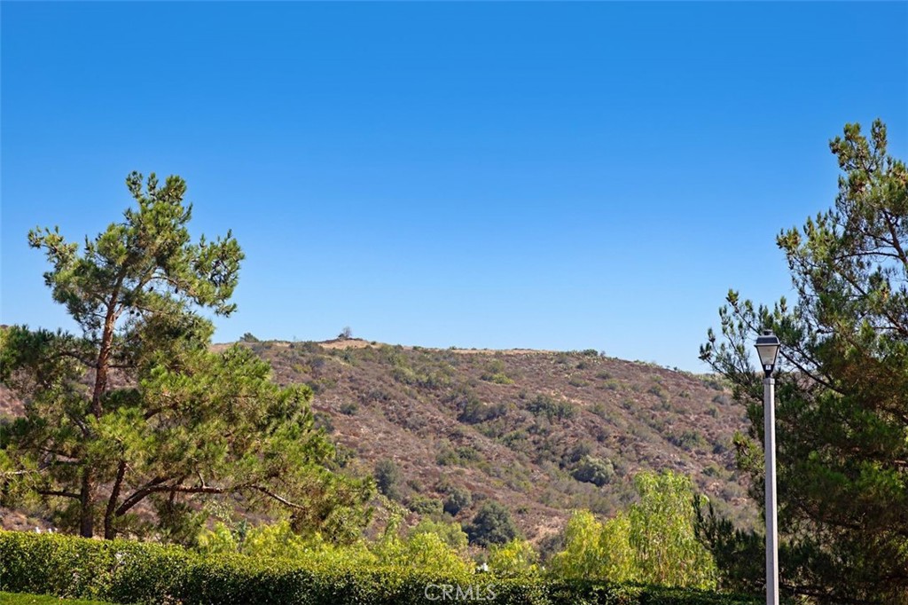 MLS #OC25166499 image #40