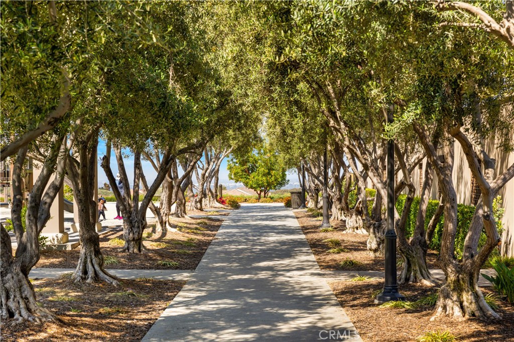 MLS #OC25167398 image #46