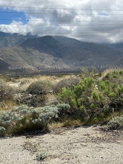 MLS #OC25167423 image #1