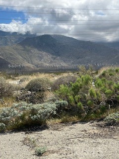 MLS #OC25167439 image #1