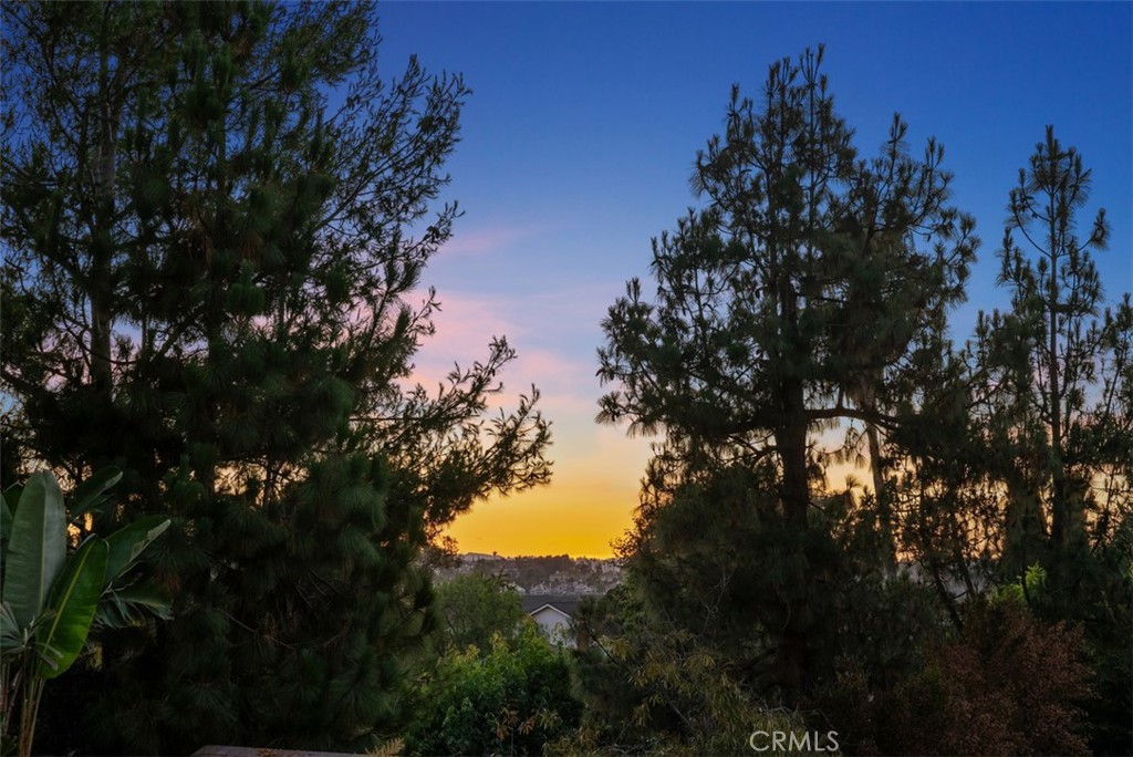 MLS #OC25168879 image #5