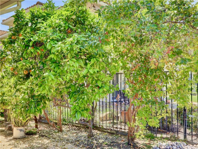 MLS #OC25170287 image #46