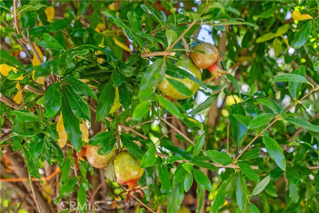 MLS #OC25173403 image #39