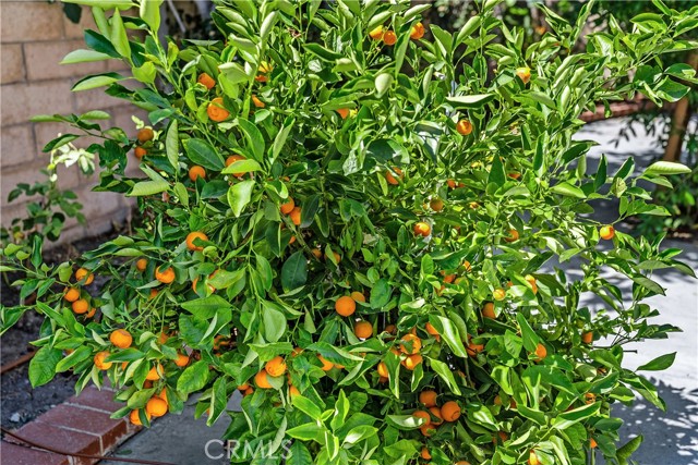 MLS #OC25173403 image #40