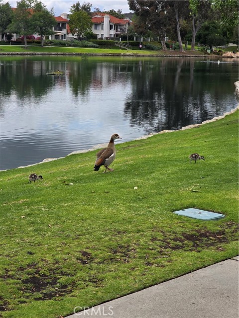 MLS #OC25174510 image #27