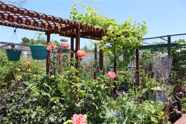 MLS #OC25174800 image #24