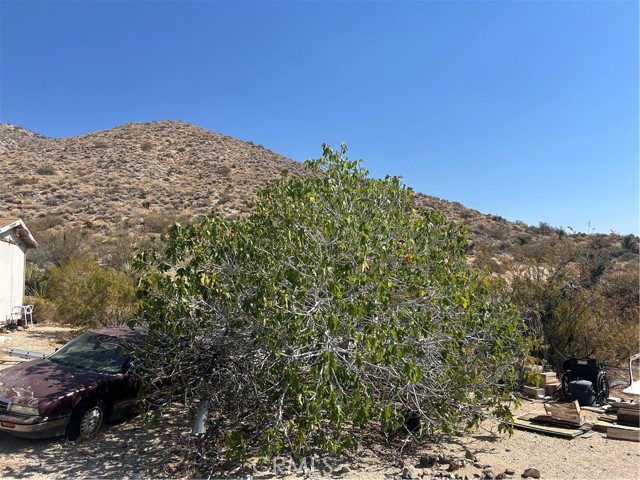 MLS #OC25174844 image #18