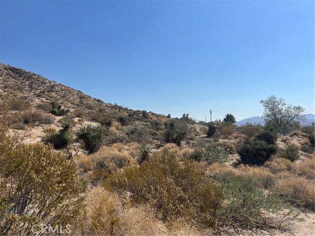 MLS #OC25174844 image #20