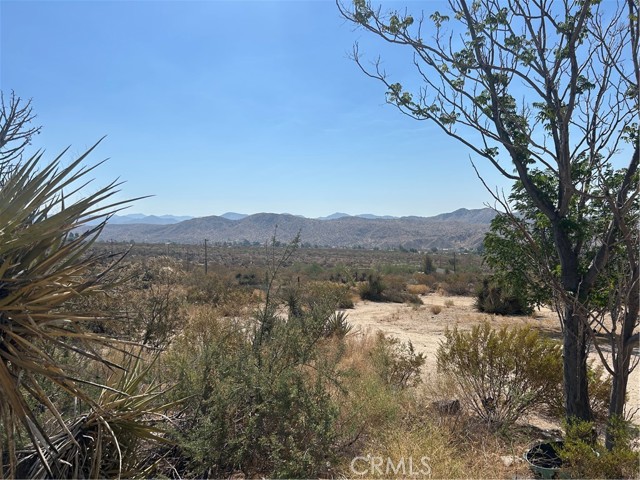 MLS #OC25174844 image #22