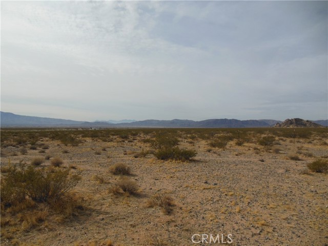 MLS #OC25175008 image #5