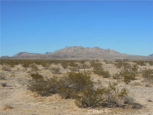 MLS #OC25175008 image #8