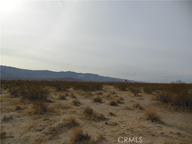 MLS #OC25175074 image #3