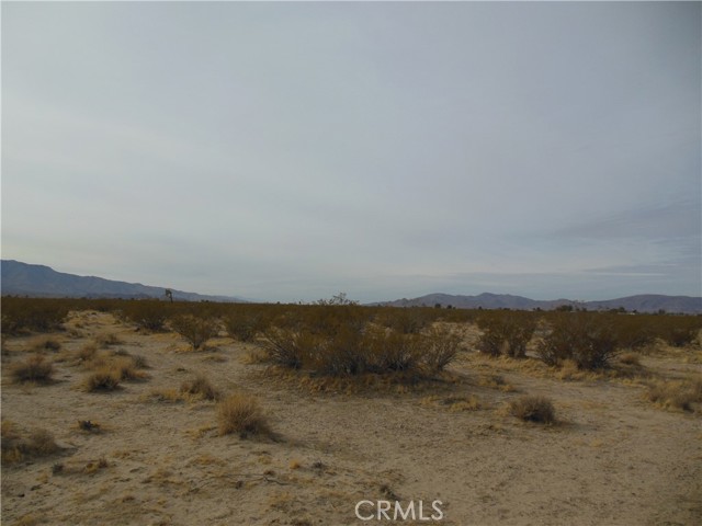 MLS #OC25175074 image #4