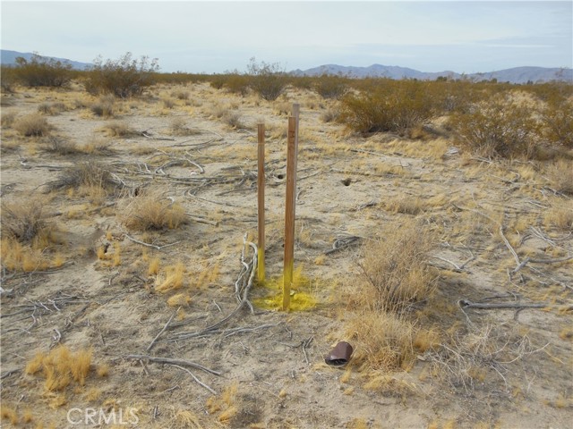 MLS #OC25175074 image #6