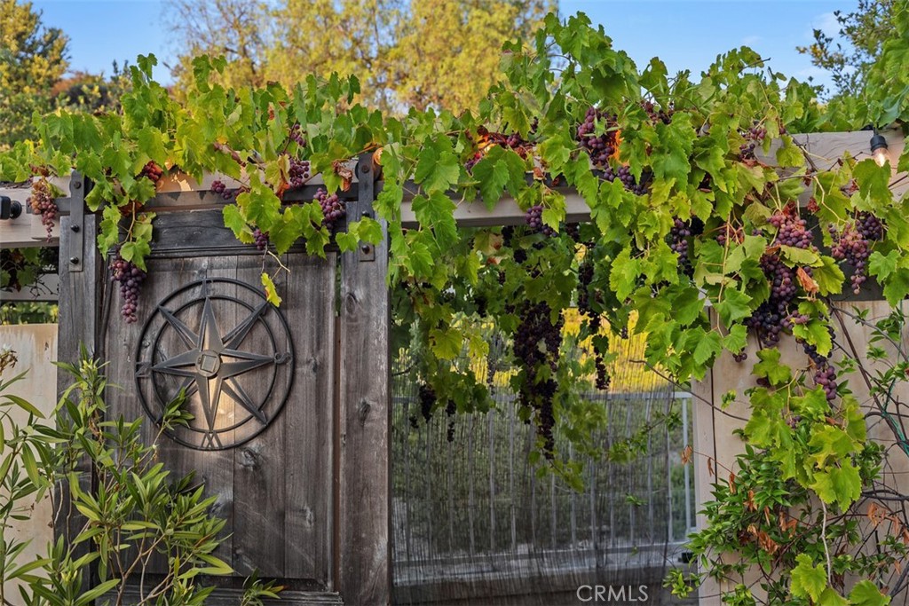 MLS #OC25176261 image #29