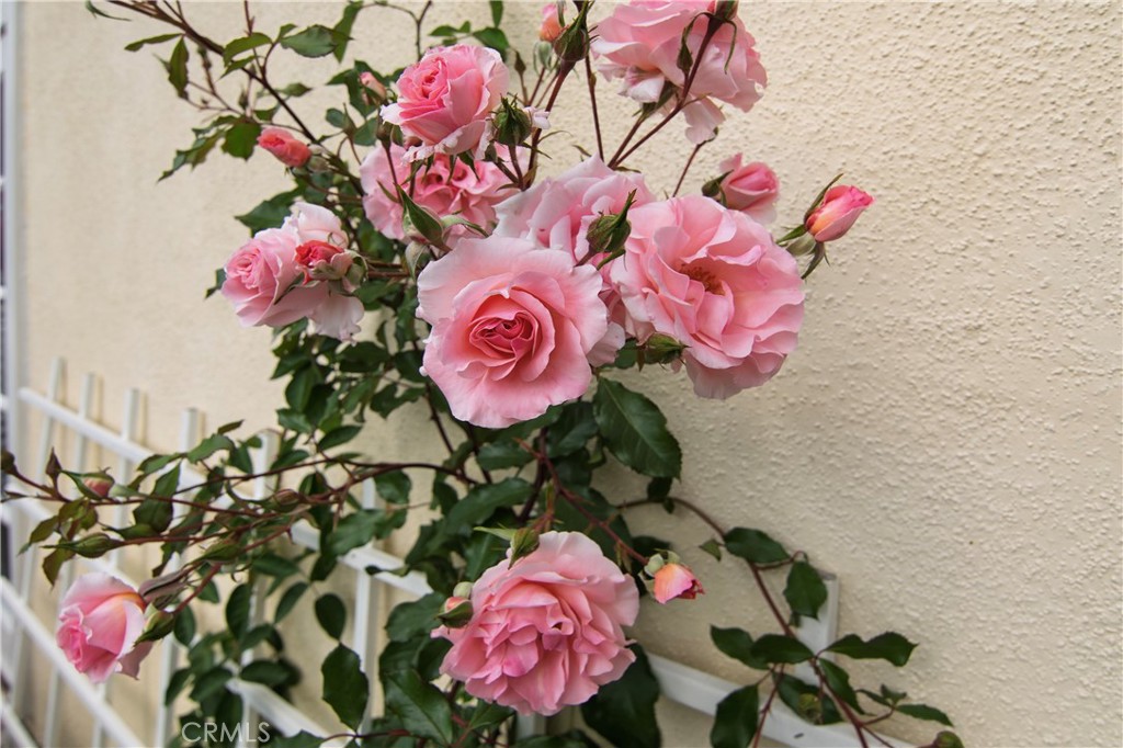 MLS #OC25178174 image #23