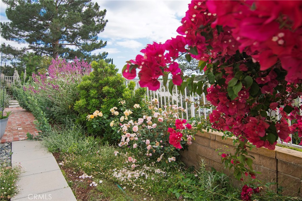 MLS #OC25178174 image #24