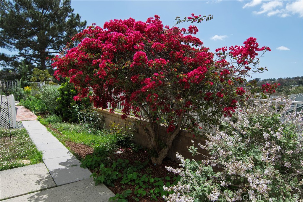 MLS #OC25178174 image #26