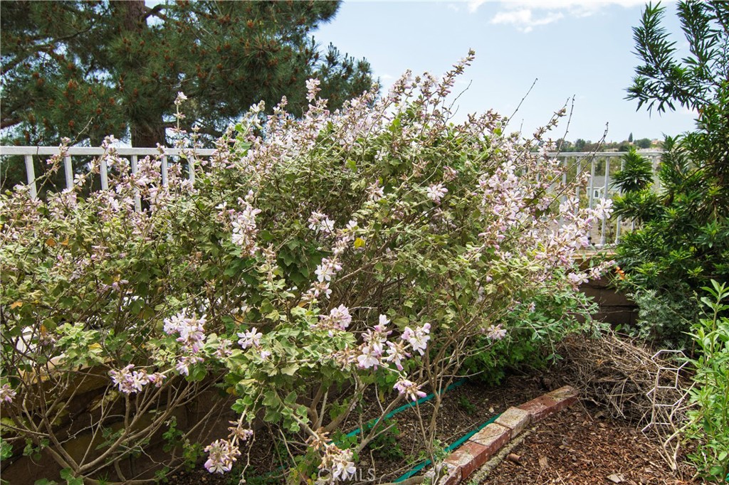 MLS #OC25178174 image #29