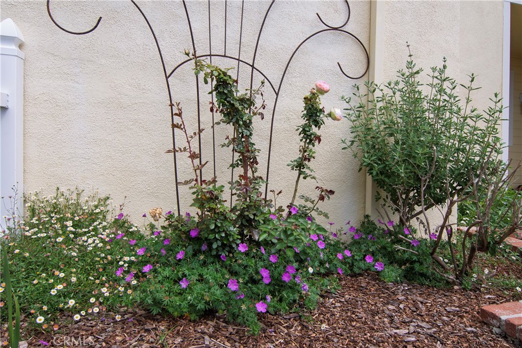 MLS #OC25178174 image #31