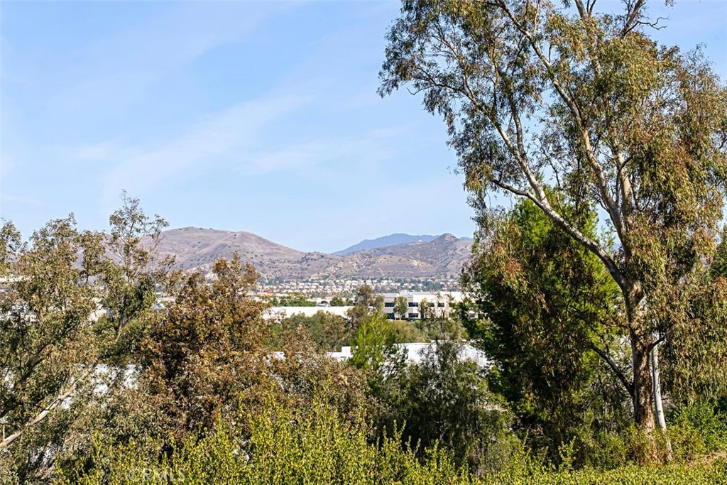 MLS #OC25178299 image #25