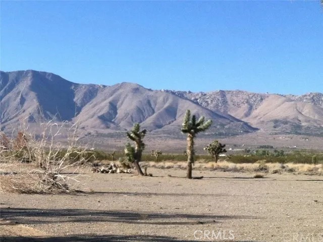MLS #OC25178913 image #0