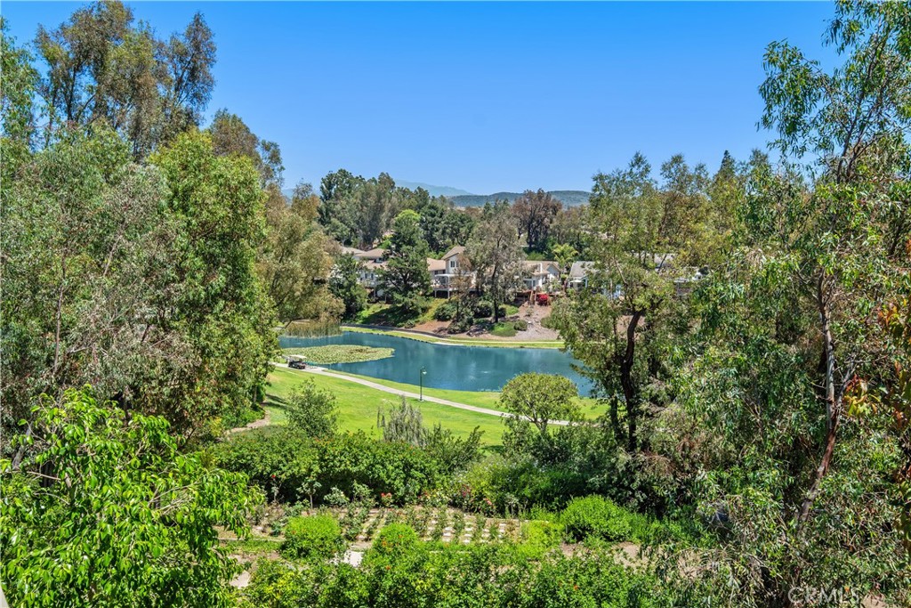 MLS #OC25179557 image #38