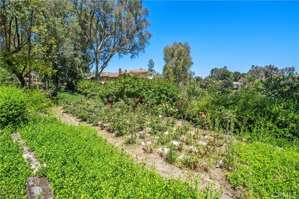 MLS #OC25179557 image #53