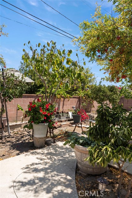 MLS #OC25180002 image #22