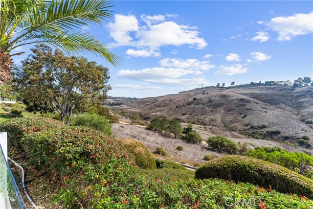 MLS #OC25182821 image #36