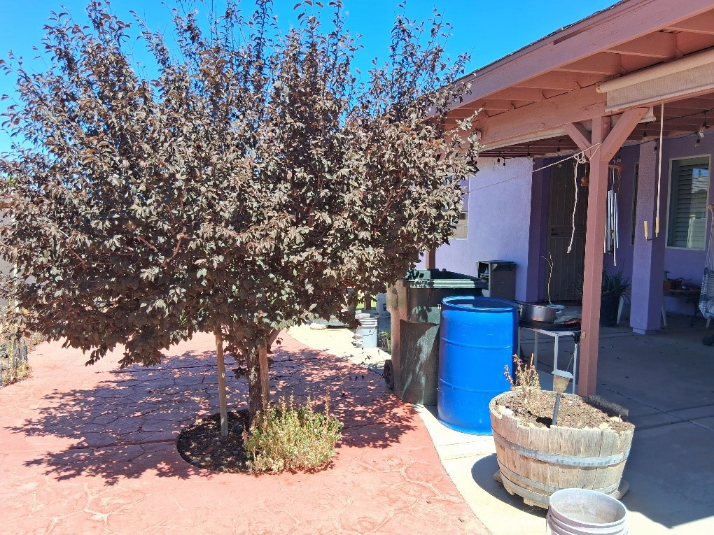 MLS #OC25183554 image #38