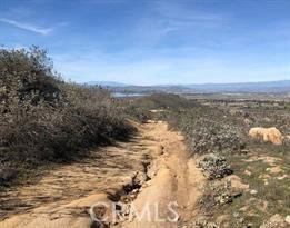 MLS #OC25184054 image #3