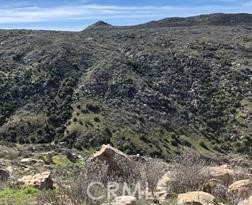 MLS #OC25184054 image #5