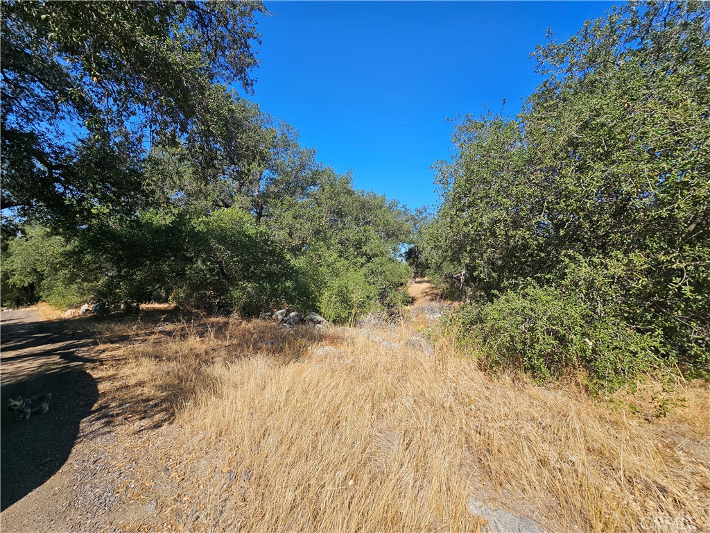 MLS #250032709SD image #1