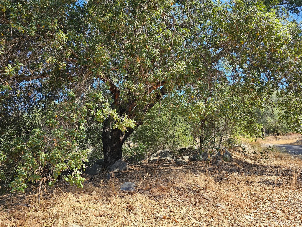 MLS #250032709SD image #3