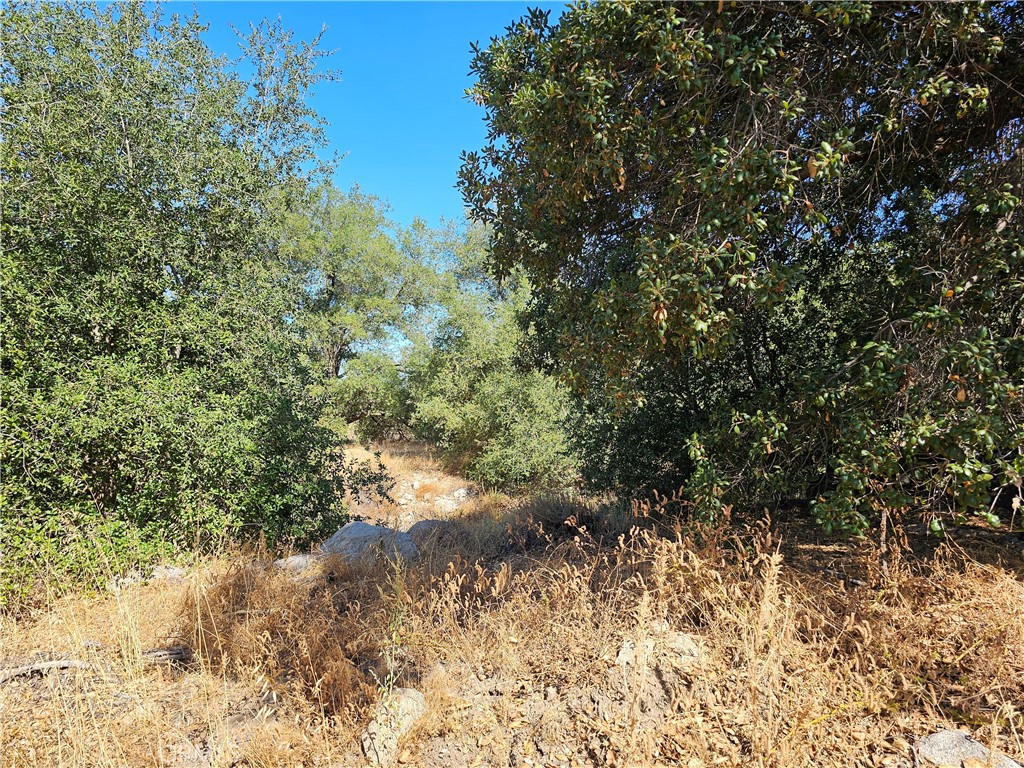 MLS #250032709SD image #4