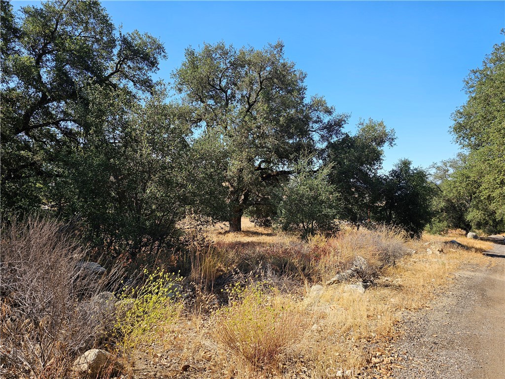 MLS #250032709SD image #6