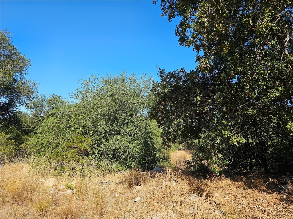 MLS #250032709SD image #7