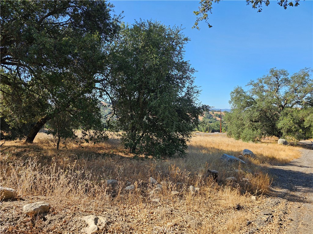 MLS #250032709SD image #8