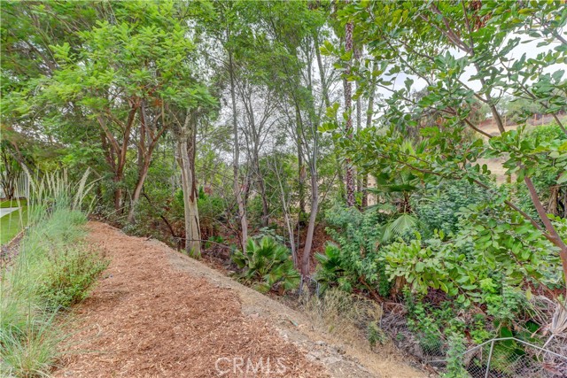 MLS #OC25188013 image #14